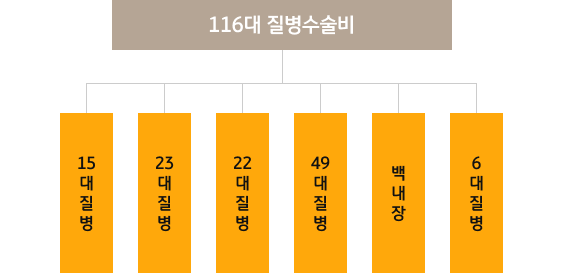 116´ë Áúº´ ¼ö¼úºñ¿¡ ´ëÇÑ Ç¥